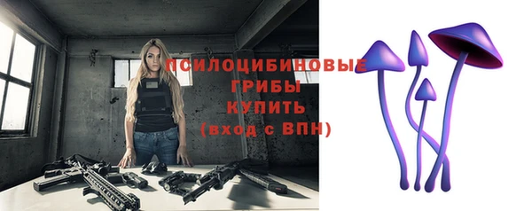 тгк Няндома
