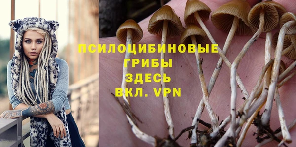 тгк Няндома