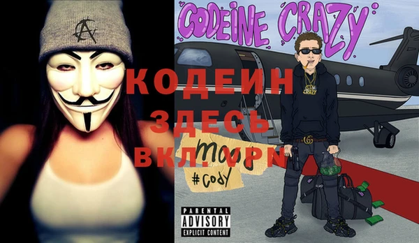 тгк Няндома