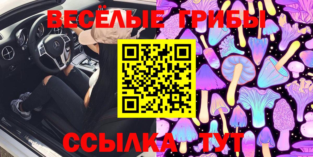 Псилоцибиновые грибы Magic Shrooms  хочу   Грязи  Галлюциногенные грибы MAGIC MUSHROOMS 
